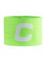 Progress Captain Armband Gecko