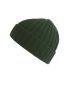 Green beanie Shore