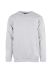 Classic Sweatshirt Jr. Aske