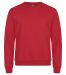 Miami Roundneck i trendfarger Red