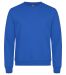 Miami Roundneck i trendfarger Royal Blue