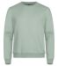 Miami Roundneck i trendfarger Sage green